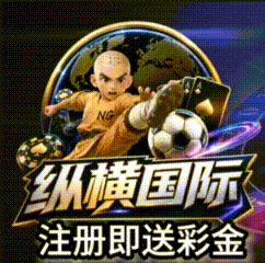 纵横国际